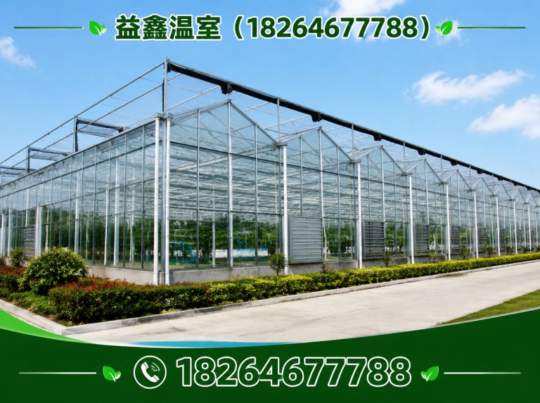 寒亭区益鑫温室展示图